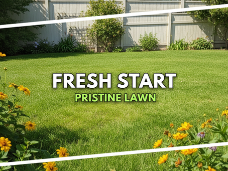 Efficient Pet Waste Management Services in Phoenix
