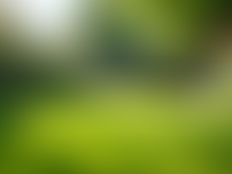 Dog Poop Scooping Services in Phoenix