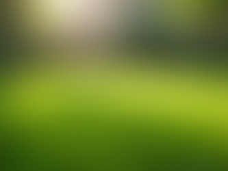 Discover Why Fresh Yard LLC is Arizona's Leading Choice for Professional Pet Waste Removal Services