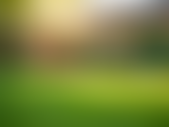 Say Goodbye to Messy Yards with Fresh Yard LLC's Top Dog Poop Removal Service in Phoenix AZ!