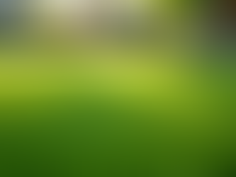 Artificial Grass Cleaners