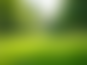 Dog Urine Eliminator