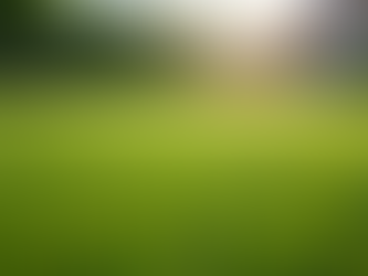 Artificial Grass Cleaning Services