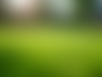 Lawn Deodorizing Service