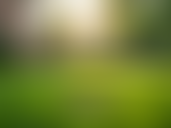 Keep Your Peoria Backyard Pristine with Fresh Yard Dog Poop Removal Services.