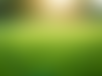 Artificial Turf Cleaning Services