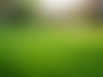 Elevate Your Lawn Experience with Fresh Yard's Premier Dog Poop Scooping Services in Peoria AZ