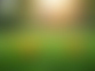 Lawn Deodorizing Services