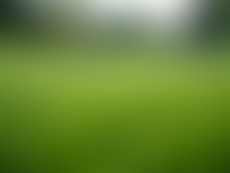 Effective Solutions for Eliminating Dog Urine Odor on Artificial Grass and Synthetic Turf