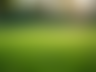 Lawn Deodorizing Service in Phoenix