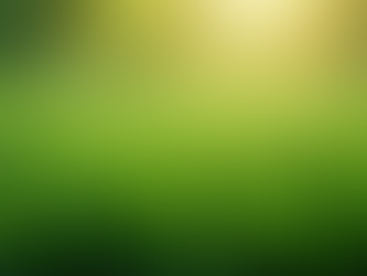 Artificial Turf Cleaning Service