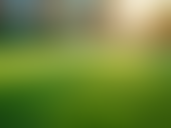 Artificial Grass Cleaning Services in Phoenix