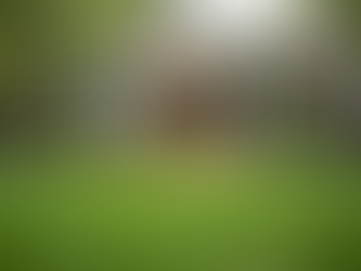 Dog Poop Pickup Services