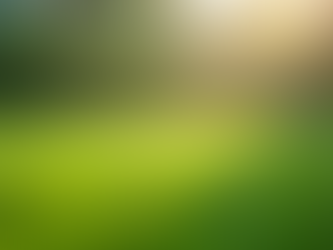 Eliminate Lawn Dog Urine Odor