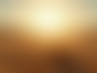 Professional Cleaning for Artificial Turf