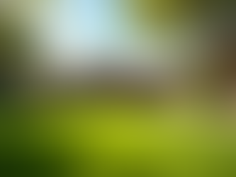 Efficient Poop Removal Services in Phoenix AZ for a Fresh and Clean Yard