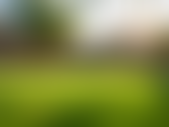 Fresh Yard LLC is Arizona's Top Choice for Artificial Grass Cleaning and Maintenance