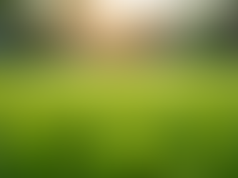 Eliminate Dog Urine Odors from Your Artificial Grass with Confidence