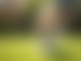 Say Goodbye to Stinky Yards with Fresh Yard LLCs Premier Poop Scooping Service in Norterra Phoenix AZ