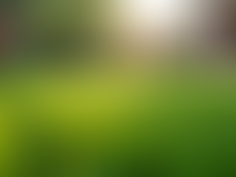 Dog Poop Scooping Services in Glendale