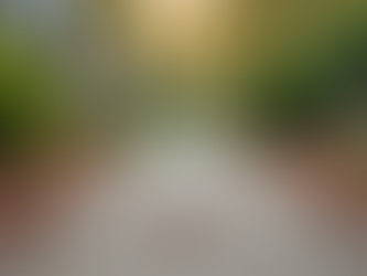 Effective Methods for Pet Waste Disposal