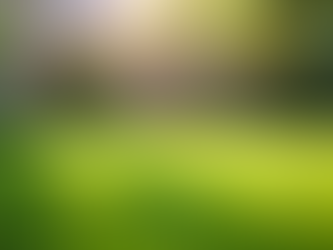 Top Choice for Pet Waste Removal Services