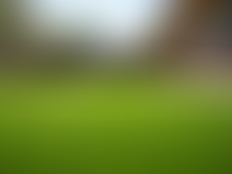 Why Homeowners Trust Fresh Yard LLC for Synthetic Turf Cleaning in Phoenix