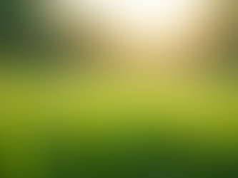 Top Tips for Maintaining Your Synthetic Grass All Year Round