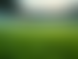 Essential Benefits of Hiring a Professional Synthetic Turf Cleaning Service