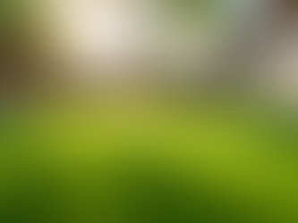 The Advantages of Professional Turf Cleaning Services for HOA Communities