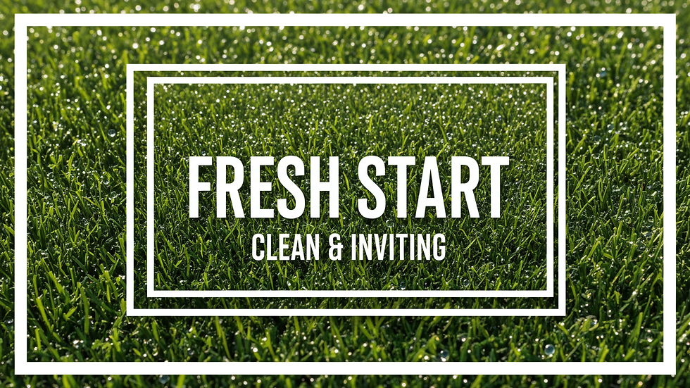 Eliminate Turf Odors Effectively with Expert Turf Odor Removal Service