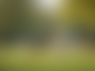 The Eco-Friendly Advantage of Professional Poop Scooping: Standard Practices for Pet Owners, Dog Owners, and Pet Care Services