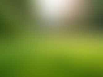 Artificial Turf Cleaning Services