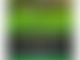 Essential Guide to Professional Fake Grass Cleaning in Phoenix