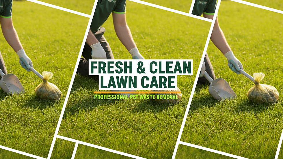 Close-up view of a professional pet waste removal technician cleaning a lawn