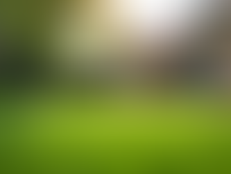 Transform Your Backyard into an Odor-Free Oasis with Fresh Yard’s Turf Deodorizer and Sanitizer Service