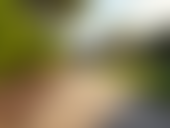 Efficient and Affordable Dog Poop Scooping Services in Glendale AZ for Your Peace of Mind