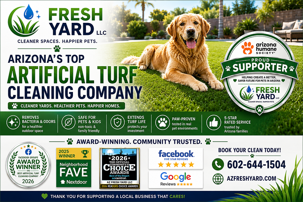The Importance of Professional Synthetic Grass Cleaning for Phoenix Homeowners