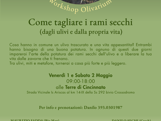 Workshop Olivarium