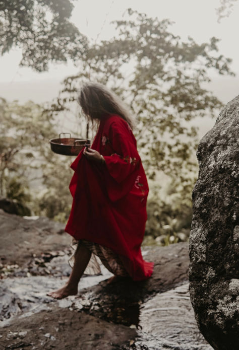 Venus Rx & the Return to Love
