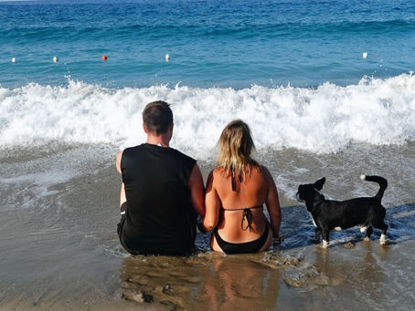 Italien mit Hund: Darf dein Hund an den Strand? 🐾🏖️