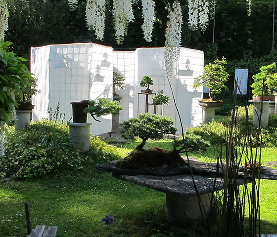Bonsai/Bonsai-Atelier/Zrich