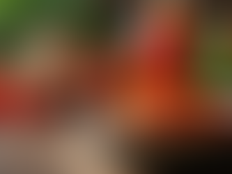 ทำอาหารอร่อยด้วยน้ำปลาแบบหมักคุณภาพสูง