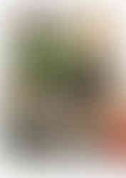 French kiss magazine 10 metro graffiti