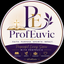 Writer: ProfEuvic