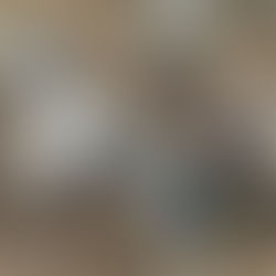 農〇連携事業に取り組んでいます。