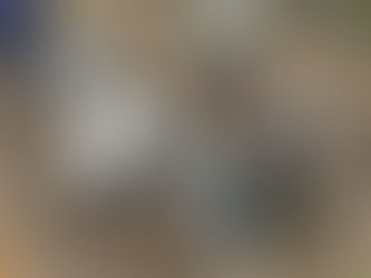 農〇連携事業に取り組んでいます。