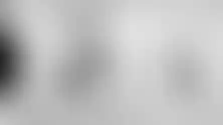 874957_5e82a11ae2764dd786e098f682faa574~mv2