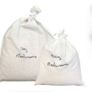 BULK CRICKETS CATEGORY 1