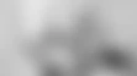 874957_f1180c9a9a71496381ae6947ec9693a6~mv2